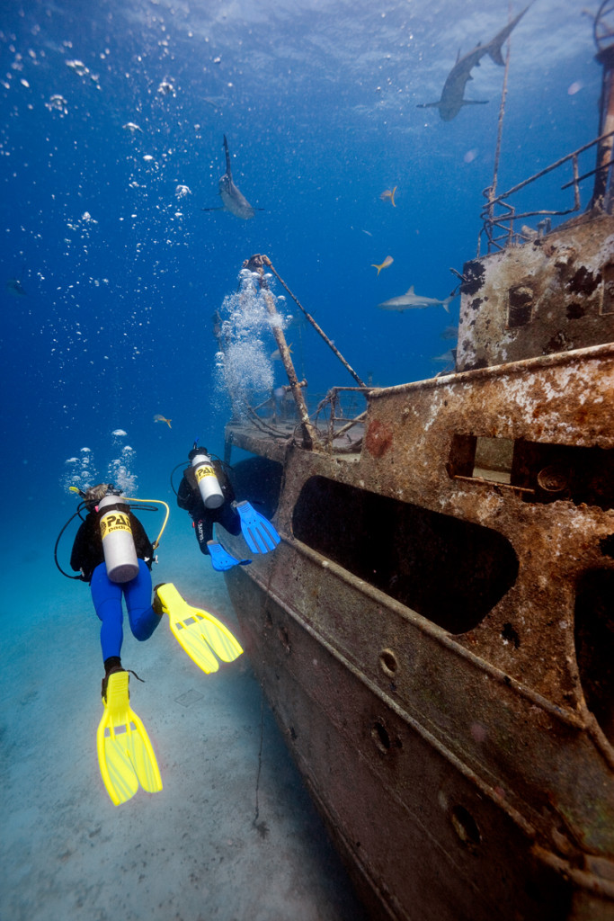 Stellar Divers PADI 5 Star Dive & Service Centre Lincoln