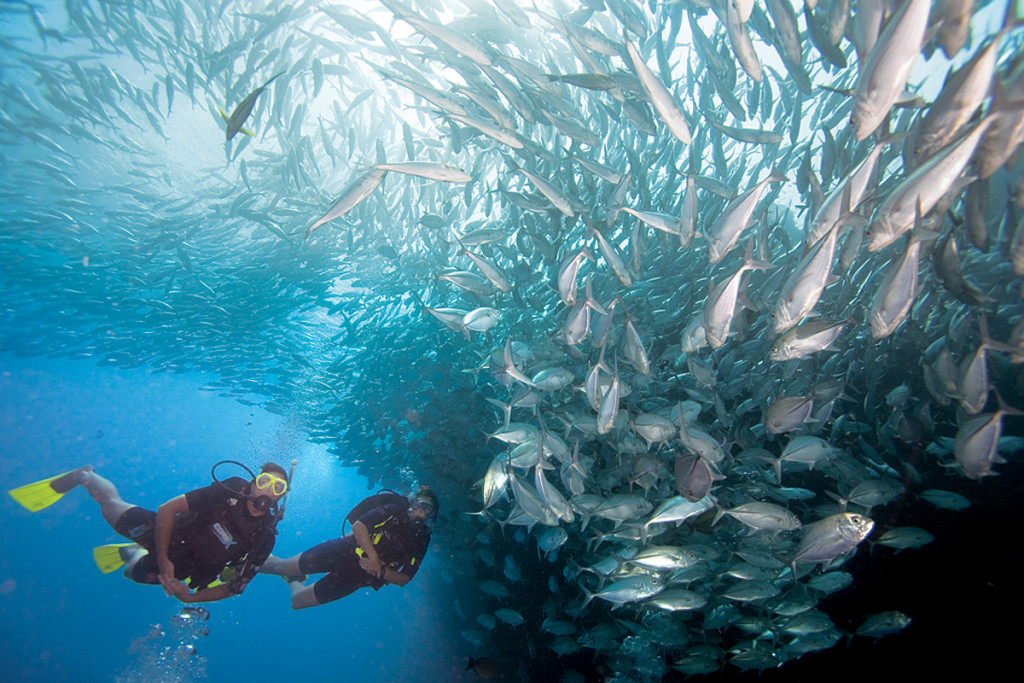 Stellar Divers PADI 5 Star Dive Centre Lincoln