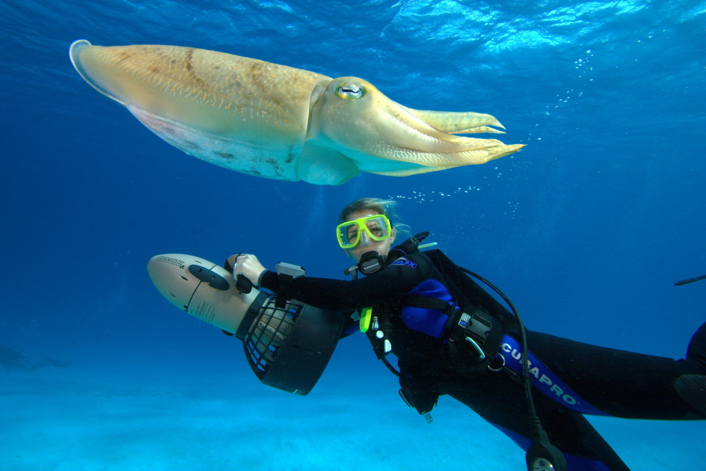 Stellar Divers PADI 5 Star Dive Centre, Lincoln