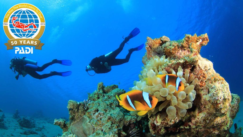 Stellar Divers, PADI 5 Star IDC, Dive Centre, Lincoln, Lincolnshire