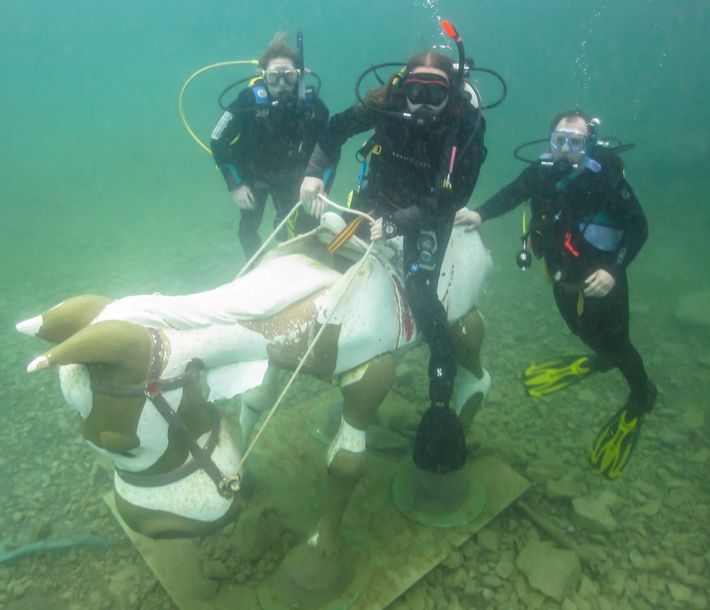 Capernwray, Stellar Divers, padi