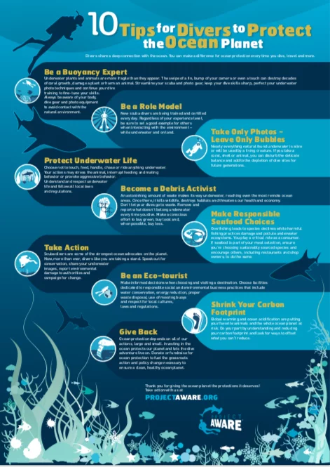 Project AWARE 10 Tips