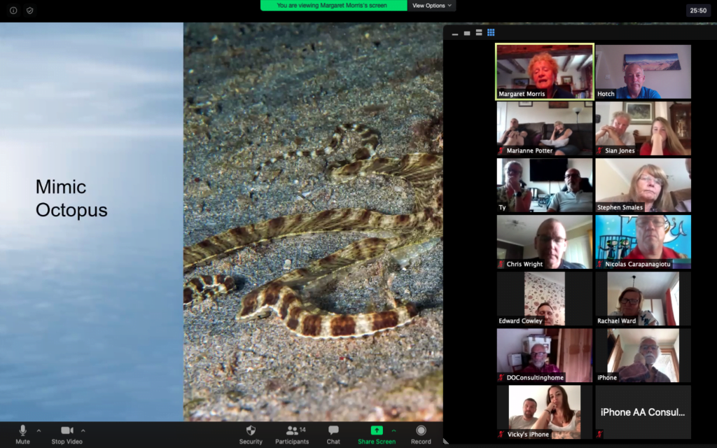 Stellar Divers, Webinar, Padi, Scuba Diving, Lincoln,