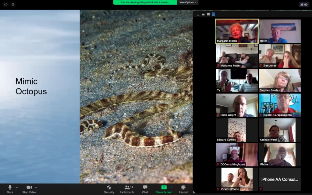 Stellar Divers, Webinar, Padi, Scuba Diving, Lincoln, 
