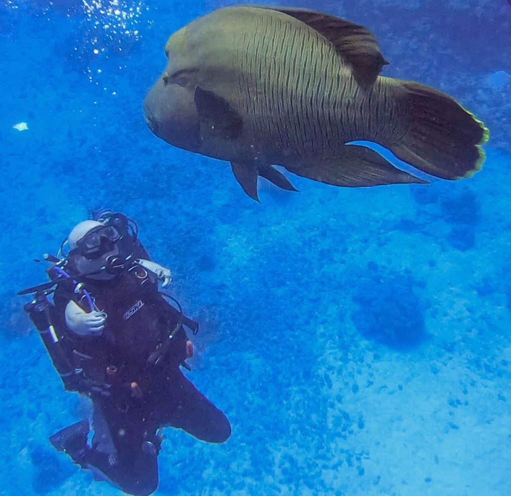 Nic Carapanagiotu PADI Assistant Instructor