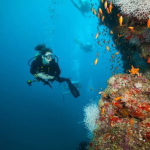 PADI Adventure Diver