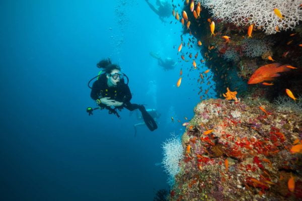 PADI Adventure Diver