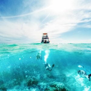 PADI Boat Diver