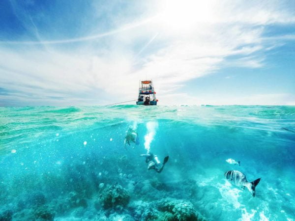 PADI Boat Diver
