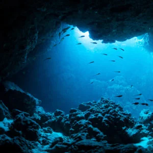 PADI Scuba Diver