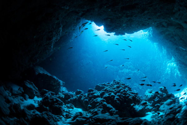 PADI Scuba Diver