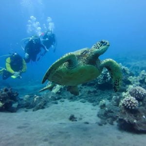 PADI Drift Diver
