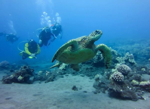PADI Drift Diver