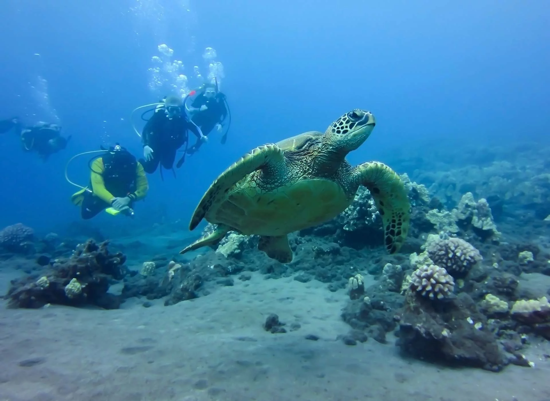 PADI Drift Diver