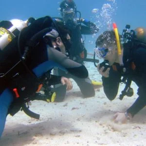 PADI Instructor