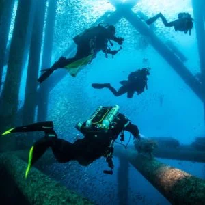 PADI Rebreather Diver
