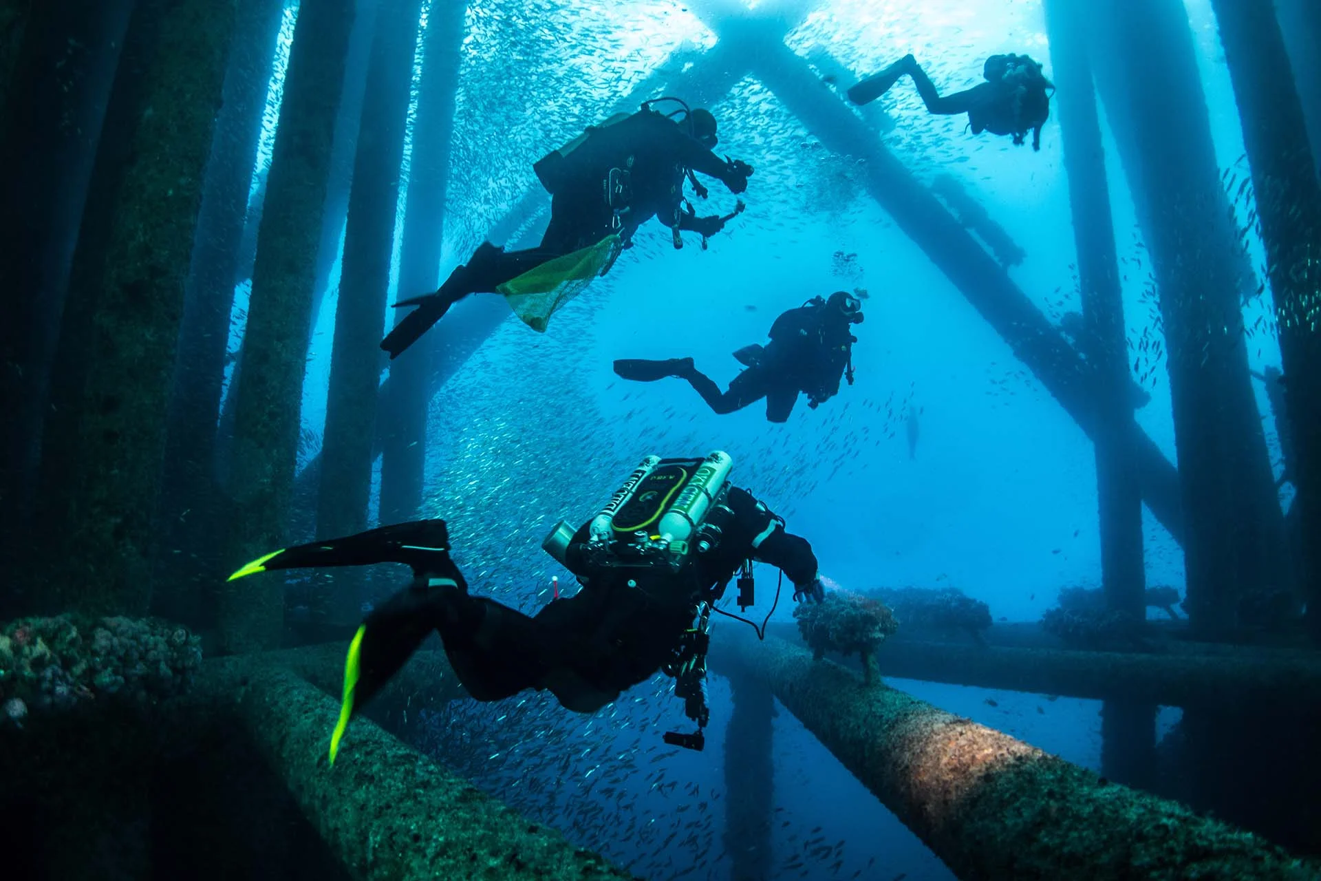 PADI Rebreather Diver