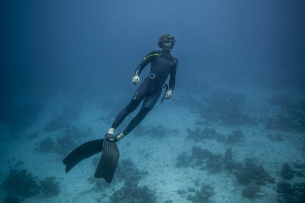 PADI Freediver