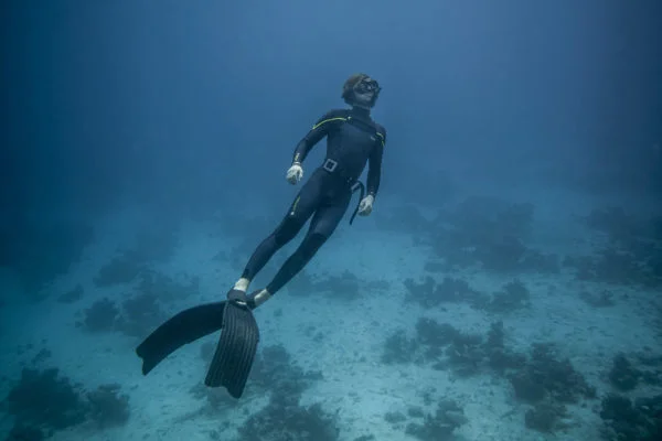 PADI Freediver