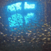Red Sea Wreck