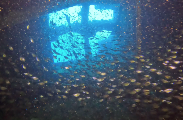 Red Sea Wreck