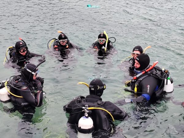 PADI MSDT Instructor